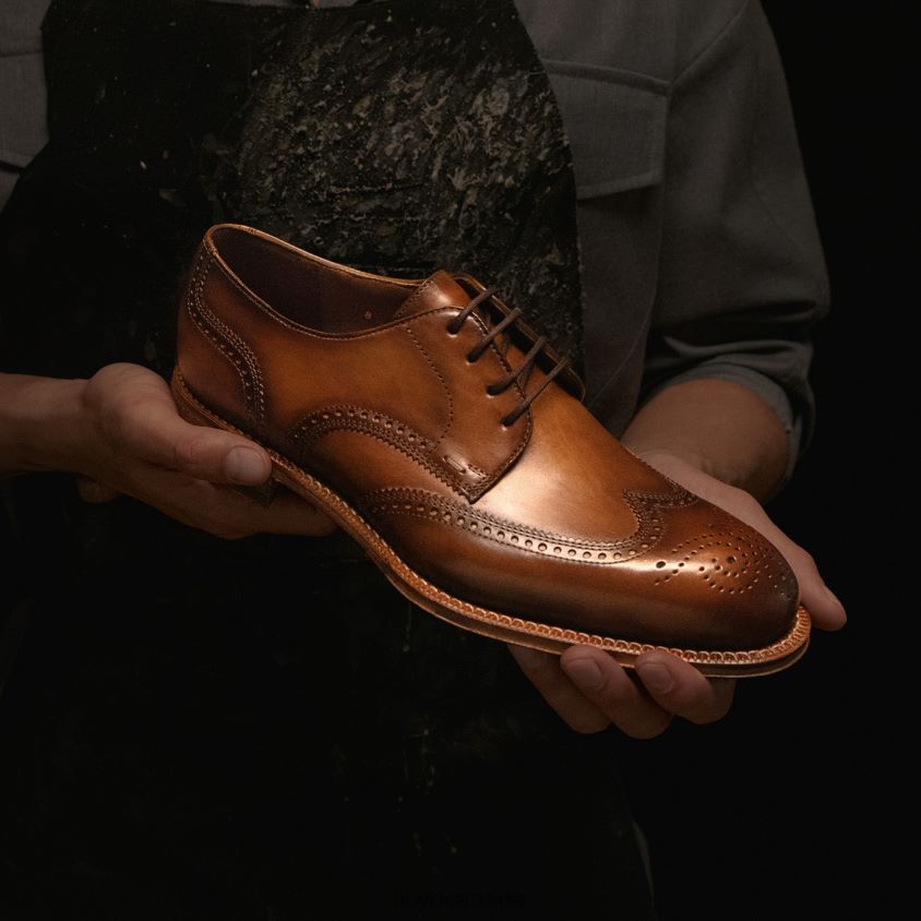 WARWICK LLOYD Men brown R084ZF74 Shoes
