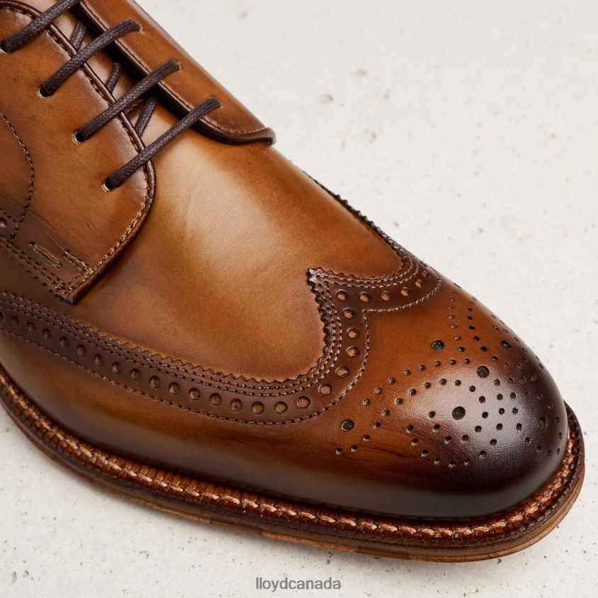 WARWICK LLOYD Men brown R084ZF74 Shoes