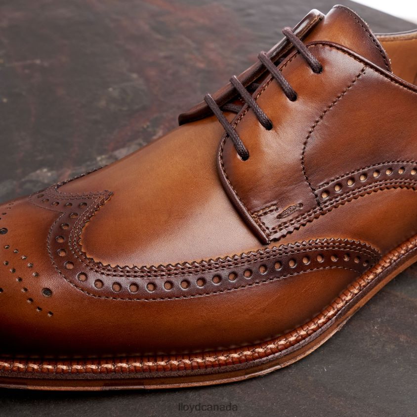 WARWICK LLOYD Men brown R084ZF74 Shoes