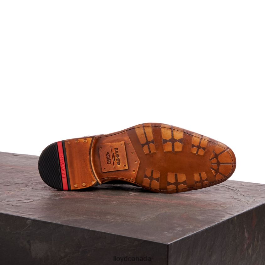 WARWICK LLOYD Men brown R084ZF74 Shoes