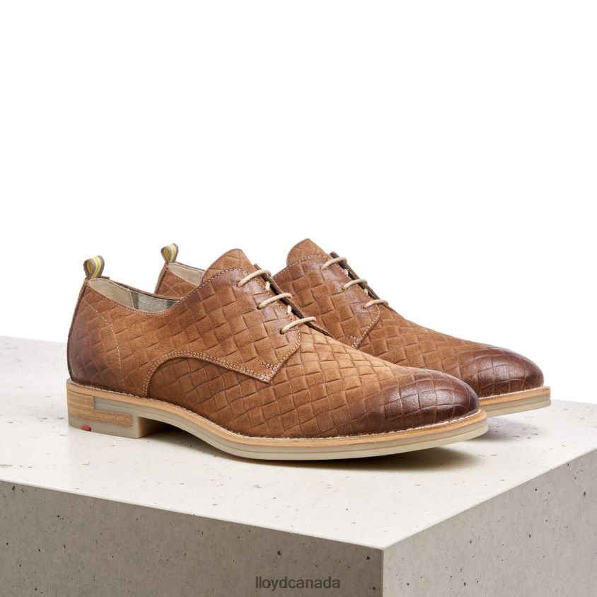 DALLAS LLOYD Men brown R084ZF601 Shoes