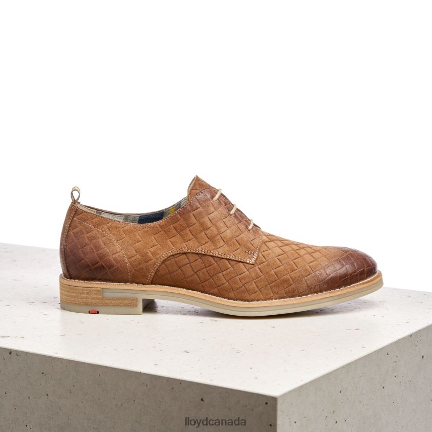 DALLAS LLOYD Men brown R084ZF601 Shoes