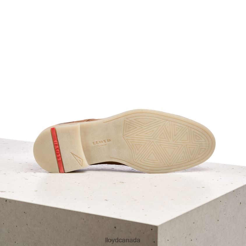 DALLAS LLOYD Men brown R084ZF601 Shoes