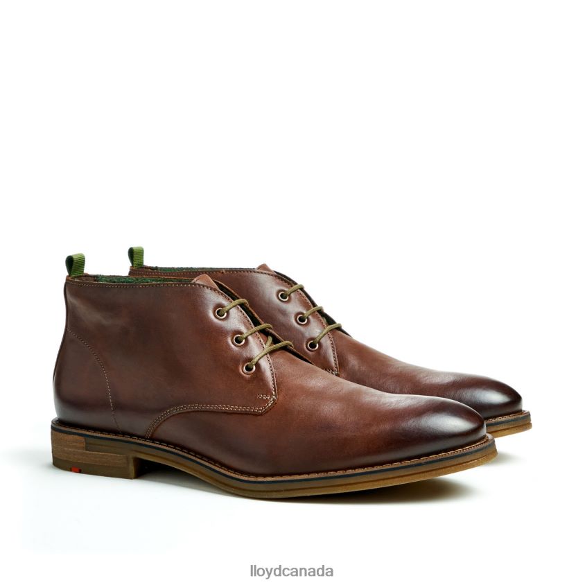 DARTMOOR LLOYD Men brown R084ZF44 Shoes