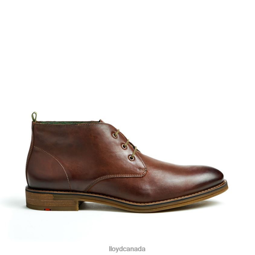 DARTMOOR LLOYD Men brown R084ZF44 Shoes