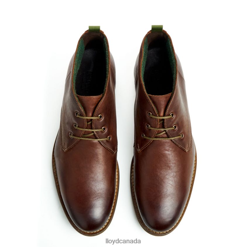 DARTMOOR LLOYD Men brown R084ZF44 Shoes