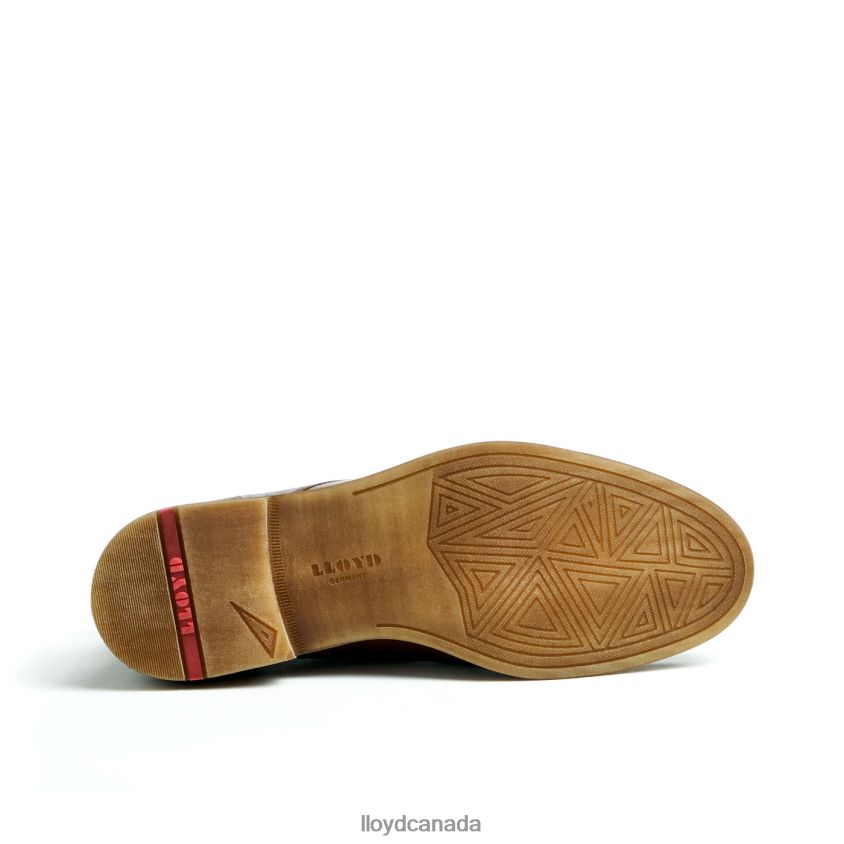 DARTMOOR LLOYD Men brown R084ZF44 Shoes