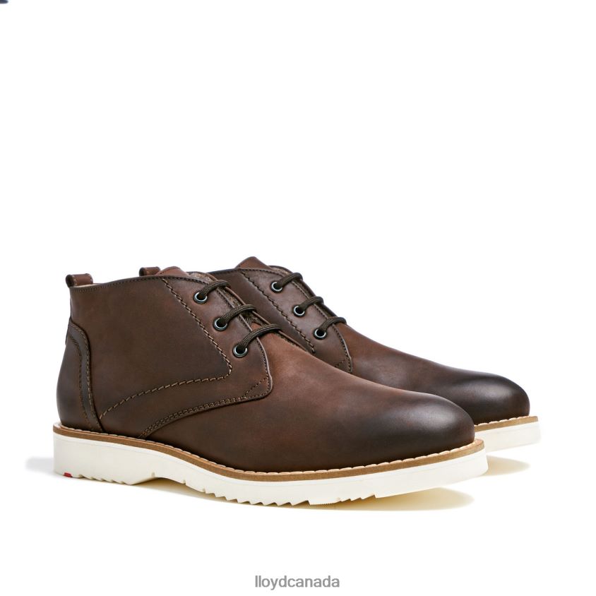 DEMPSEY LLOYD Men brown R084ZF60 Shoes