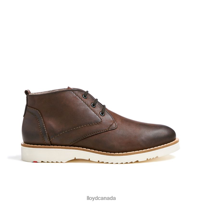 DEMPSEY LLOYD Men brown R084ZF60 Shoes