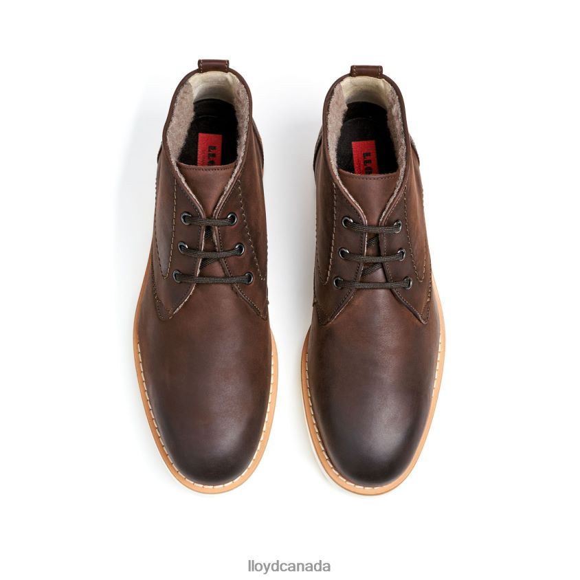 DEMPSEY LLOYD Men brown R084ZF60 Shoes