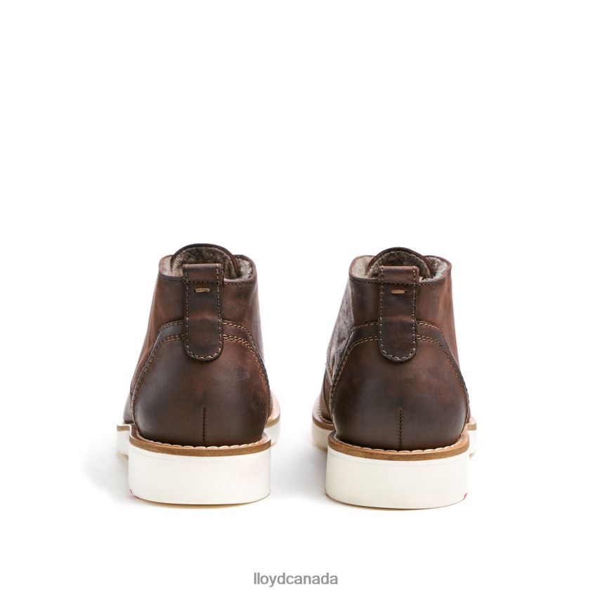 DEMPSEY LLOYD Men brown R084ZF60 Shoes