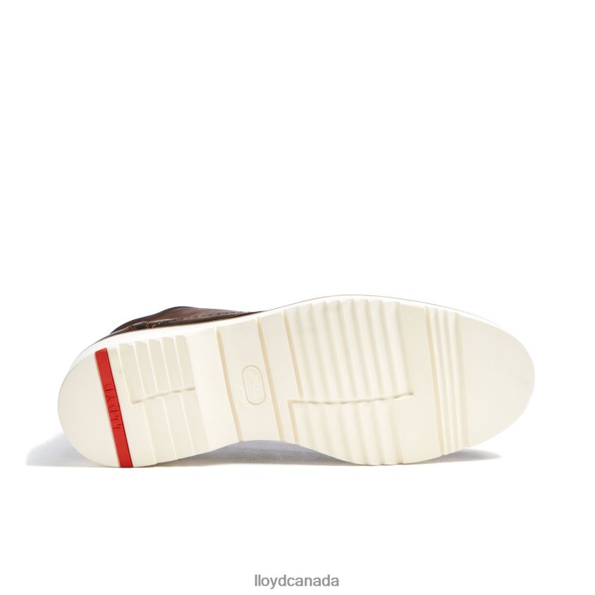DEMPSEY LLOYD Men brown R084ZF60 Shoes
