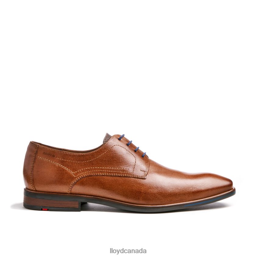 DON LLOYD Men brown R084ZF109 Shoes