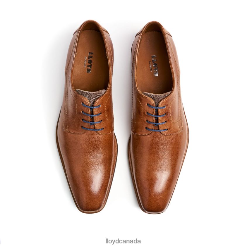 DON LLOYD Men brown R084ZF109 Shoes