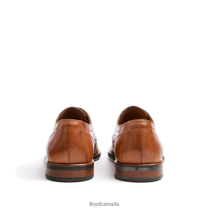 DON LLOYD Men brown R084ZF109 Shoes