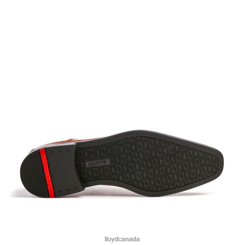 DON LLOYD Men brown R084ZF109 Shoes