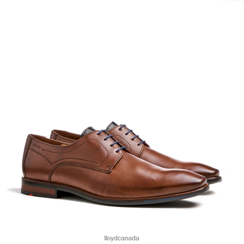 DON LLOYD Men brown R084ZF112 Shoes