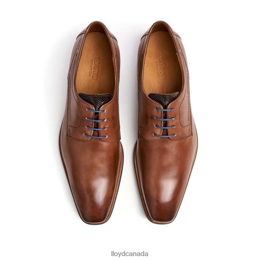 DON LLOYD Men brown R084ZF112 Shoes
