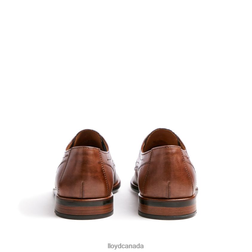 DON LLOYD Men brown R084ZF112 Shoes
