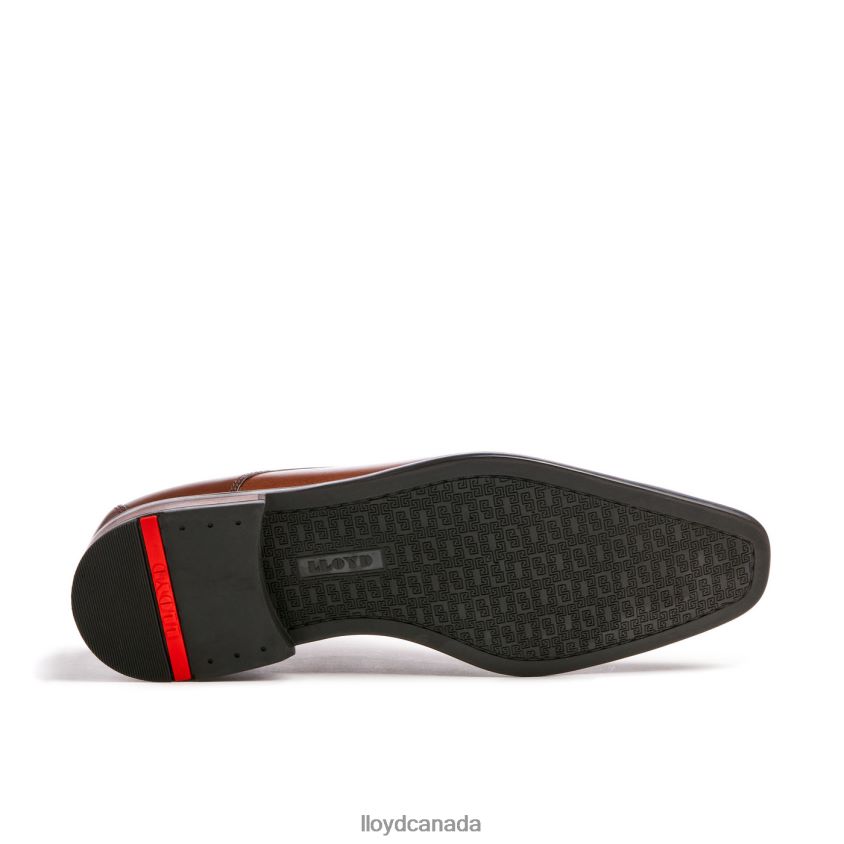 DON LLOYD Men brown R084ZF112 Shoes