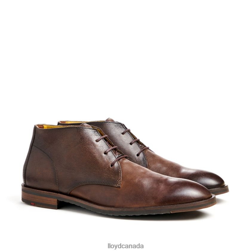 DUKE LLOYD Men brown R084ZF43 Shoes
