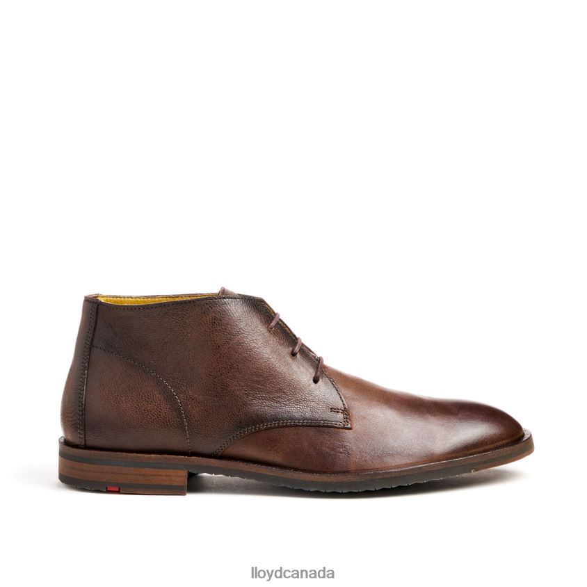 DUKE LLOYD Men brown R084ZF43 Shoes