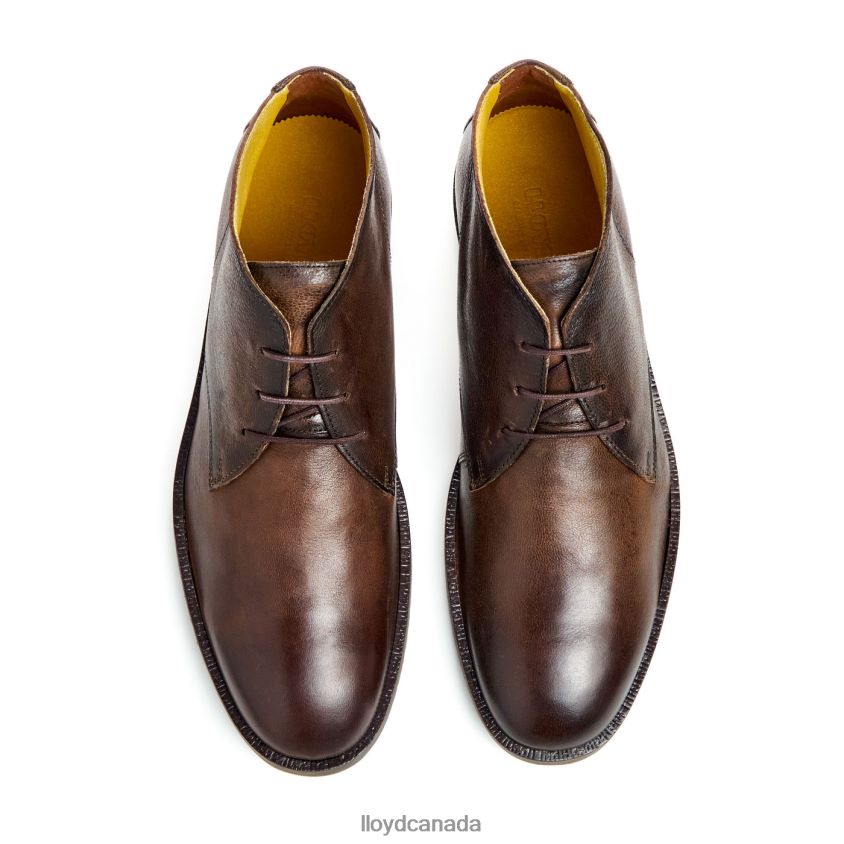 DUKE LLOYD Men brown R084ZF43 Shoes