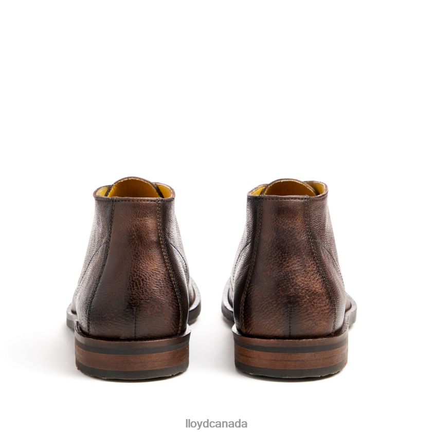 DUKE LLOYD Men brown R084ZF43 Shoes
