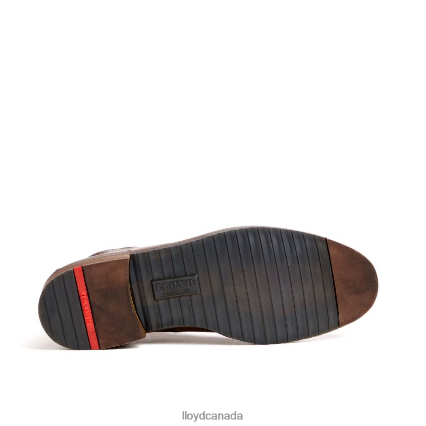DUKE LLOYD Men brown R084ZF43 Shoes