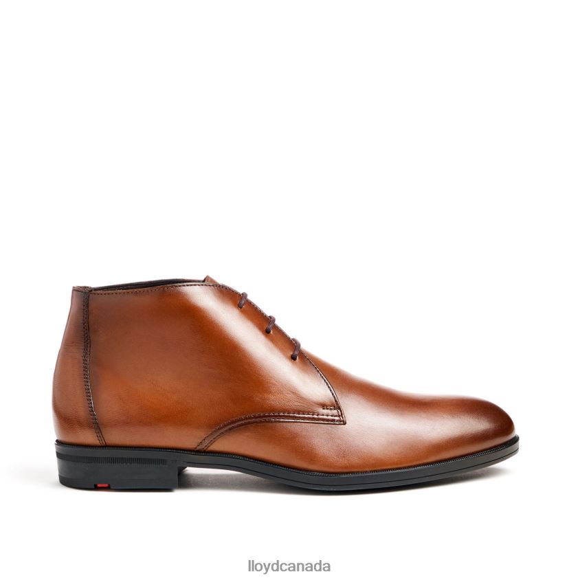 FELICIANO LLOYD Men brown R084ZF54 Shoes