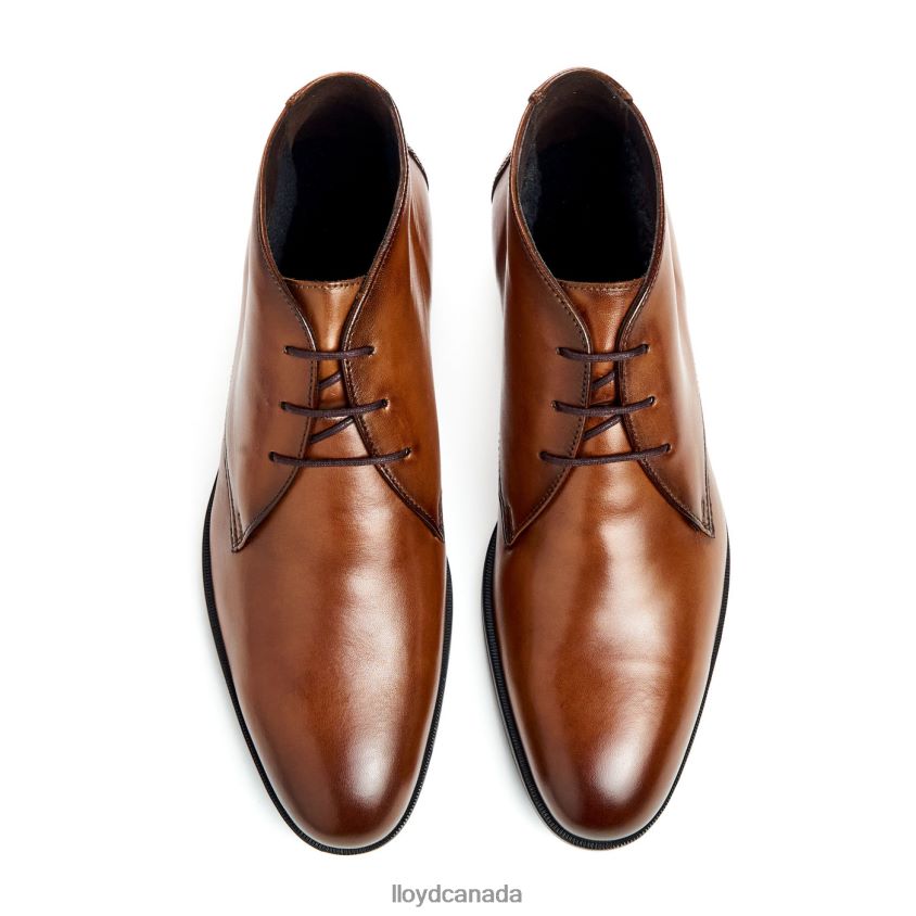 FELICIANO LLOYD Men brown R084ZF54 Shoes
