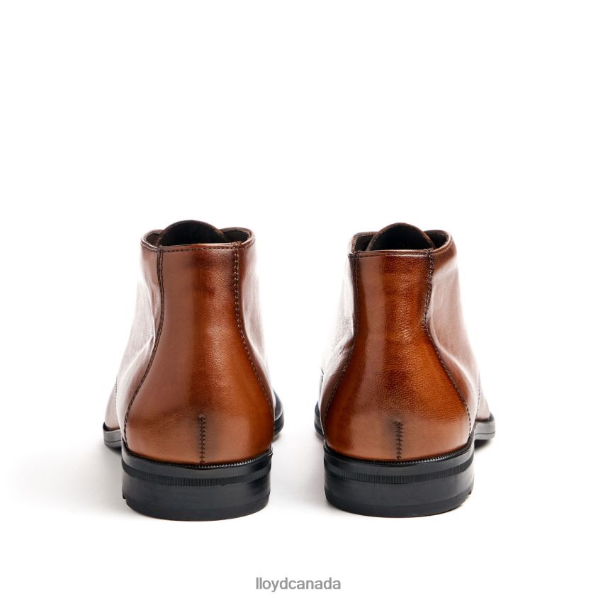 FELICIANO LLOYD Men brown R084ZF54 Shoes