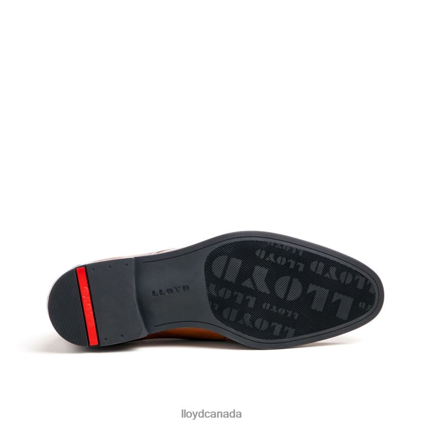 FELICIANO LLOYD Men brown R084ZF54 Shoes