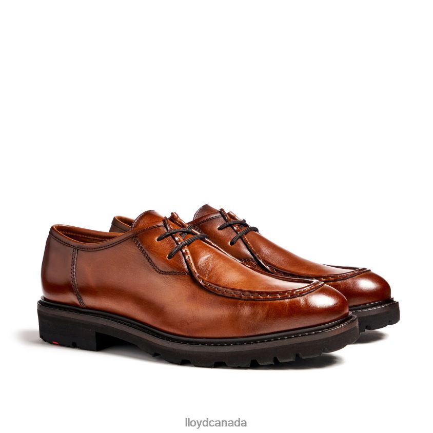 FELIPE LLOYD Men brown R084ZF137 Shoes
