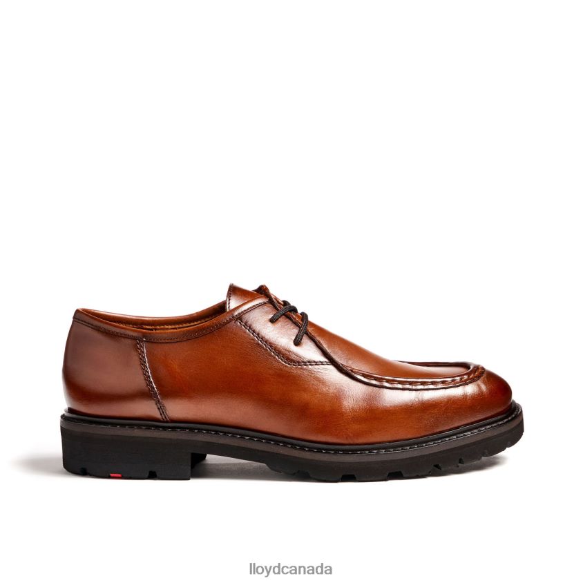 FELIPE LLOYD Men brown R084ZF137 Shoes