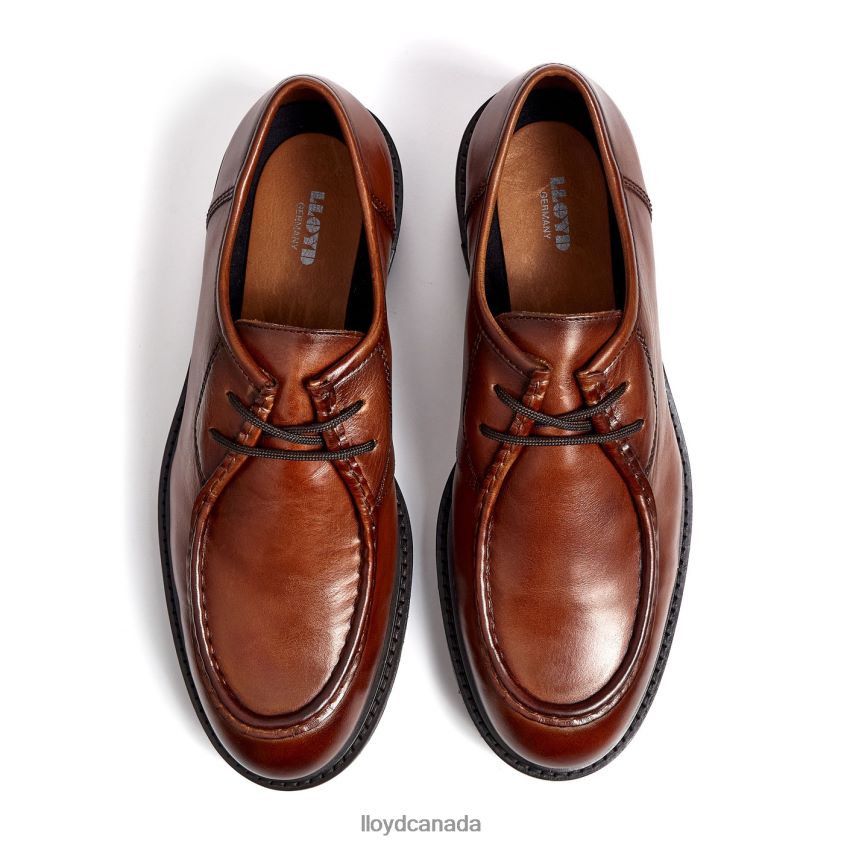 FELIPE LLOYD Men brown R084ZF137 Shoes