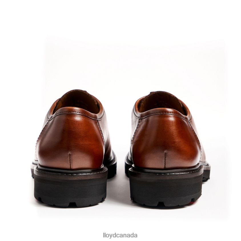 FELIPE LLOYD Men brown R084ZF137 Shoes