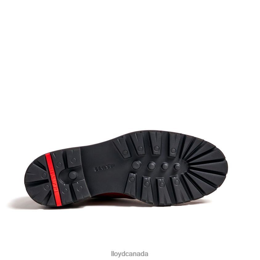 FELIPE LLOYD Men brown R084ZF137 Shoes