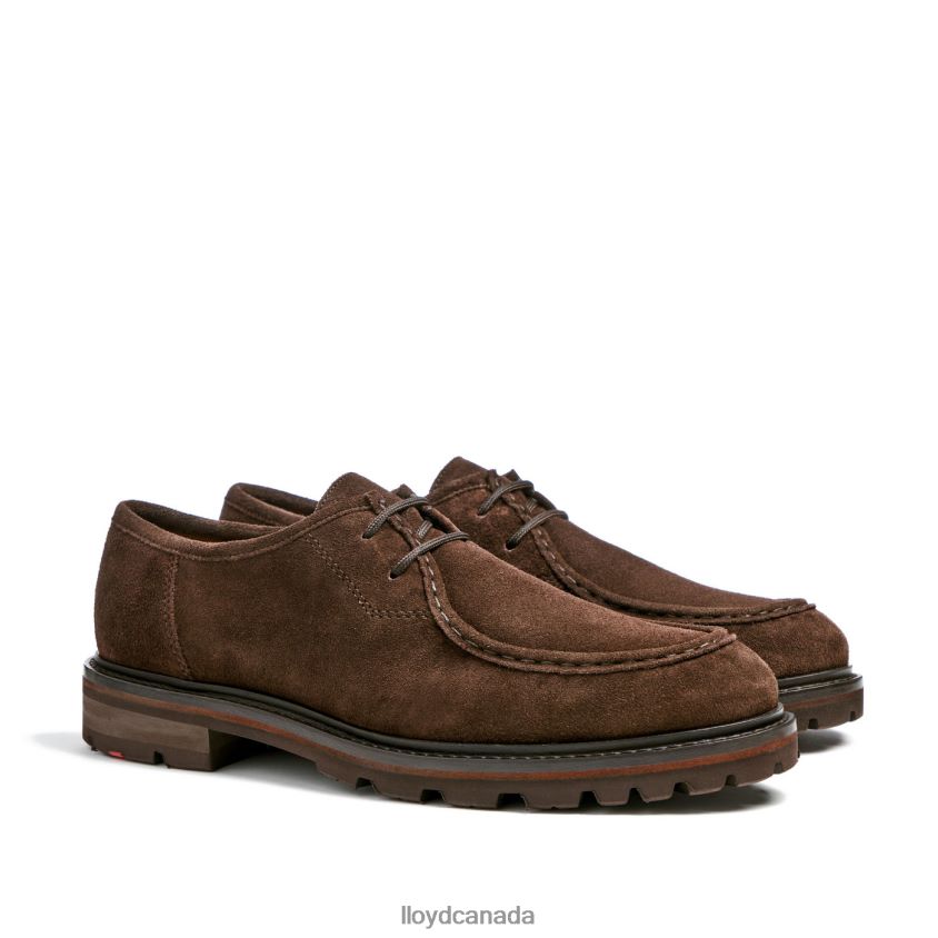 FELIPE LLOYD Men brown R084ZF587 Shoes