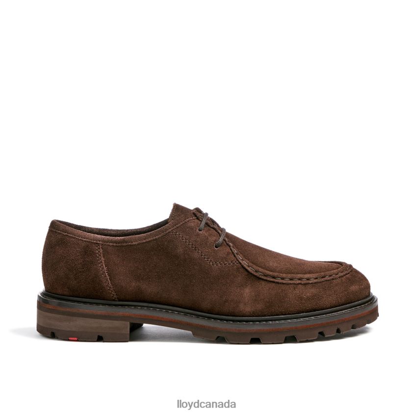 FELIPE LLOYD Men brown R084ZF587 Shoes