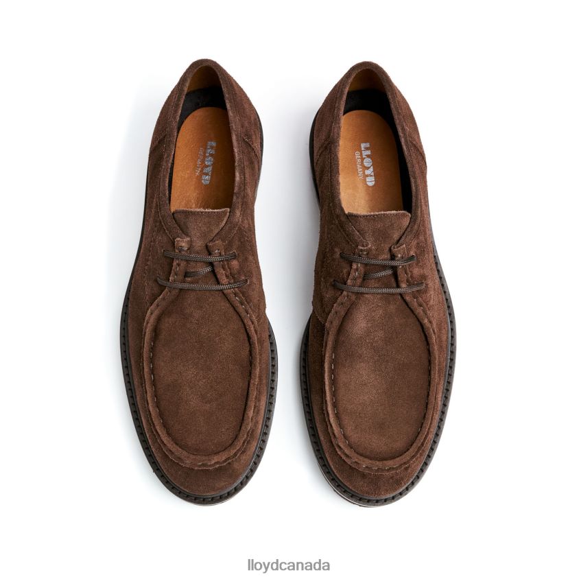FELIPE LLOYD Men brown R084ZF587 Shoes
