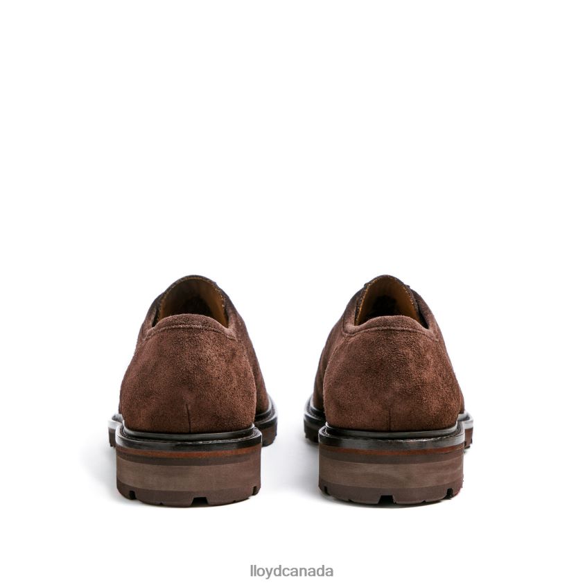 FELIPE LLOYD Men brown R084ZF587 Shoes