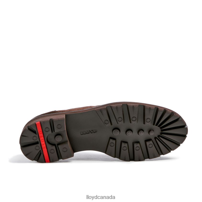 FELIPE LLOYD Men brown R084ZF587 Shoes