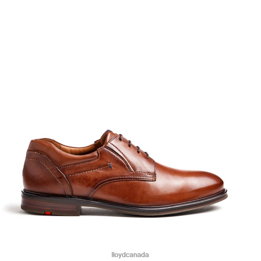 KOS (XTRAWIDE) LLOYD Men brown R084ZF142 Shoes