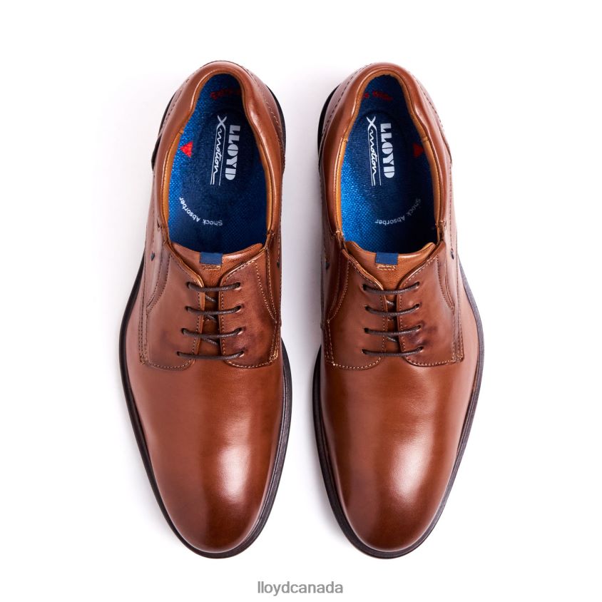 KOS (XTRAWIDE) LLOYD Men brown R084ZF142 Shoes
