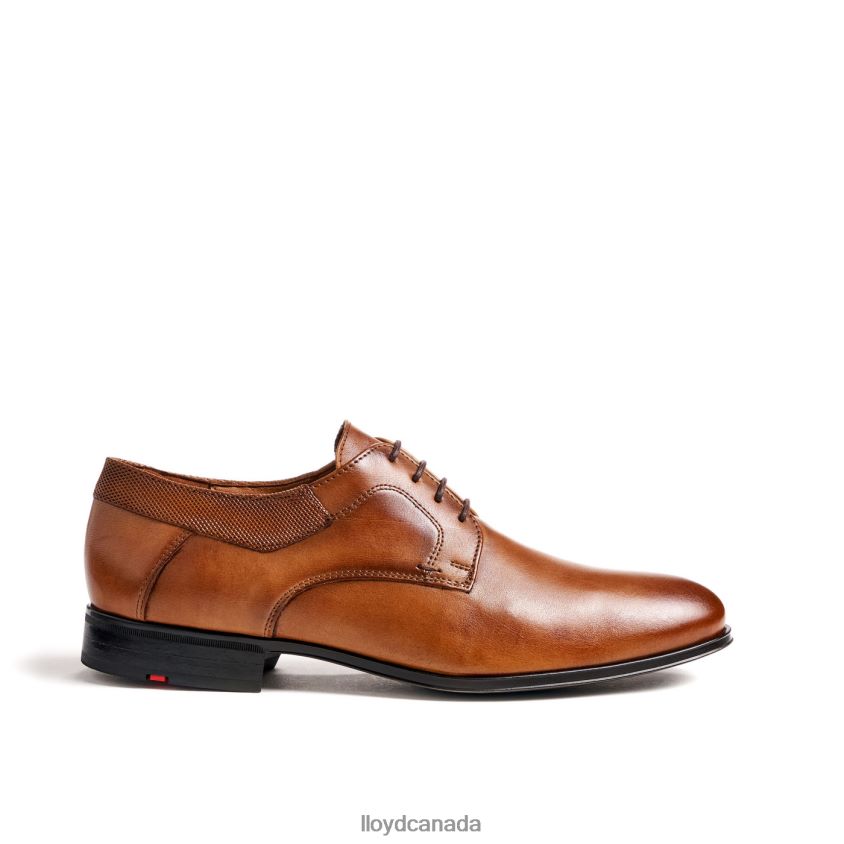 LADOR LLOYD Men brown R084ZF91 Shoes
