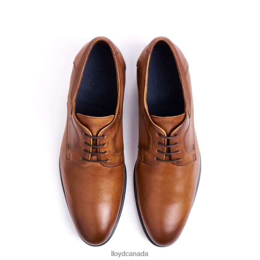 LADOR LLOYD Men brown R084ZF91 Shoes