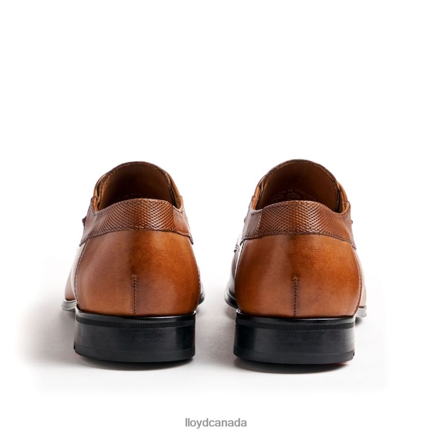 LADOR LLOYD Men brown R084ZF91 Shoes