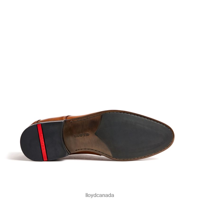 LADOR LLOYD Men brown R084ZF91 Shoes