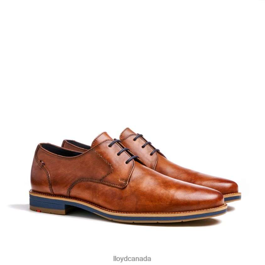 LANGSTON LLOYD Men brown R084ZF27 Shoes